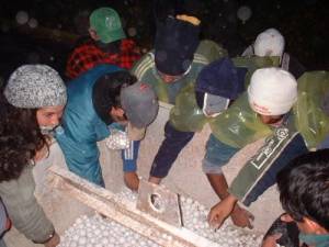 pronti a resistere....